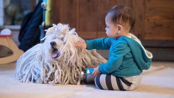Foto: Lucunya Max, Putri Mark Zuckerberg yang Sudah Jadi Kakak