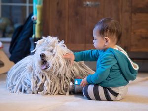 Foto: Lucunya Max, Putri Mark Zuckerberg yang Sudah Jadi Kakak