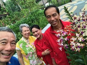 Jokowi Bertemu PM Singapura: Tanam Pohon Hingga Bahas Kerja Sama