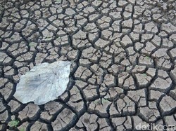 BPBD Gunungkidul Ajukan Status Siaga Darurat Kekeringan ke BNPB