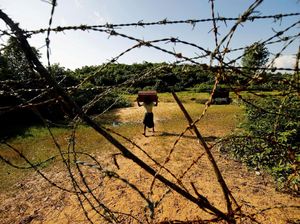 3 Warga Rohingya Tewas Kena Ranjau Saat Akan Mengungsi