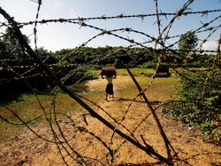 3 Warga Rohingya Tewas Kena Ranjau Saat Akan Mengungsi