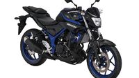 Foto: Yamaha MT-25 Terbaru Nih..