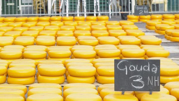 Ini 8 Negara yang Punya Keju Paling Baik di Dunia