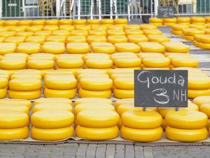 Ini 8 Negara yang Punya Keju Paling Baik di Dunia