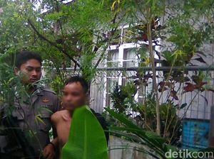 Pria di Lhokseumawe Ditangkap Polisi karena Tanam Ganja