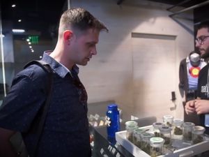 Pria Ini Dibayar Untuk Menghisap dan Menulis tentang Ganja