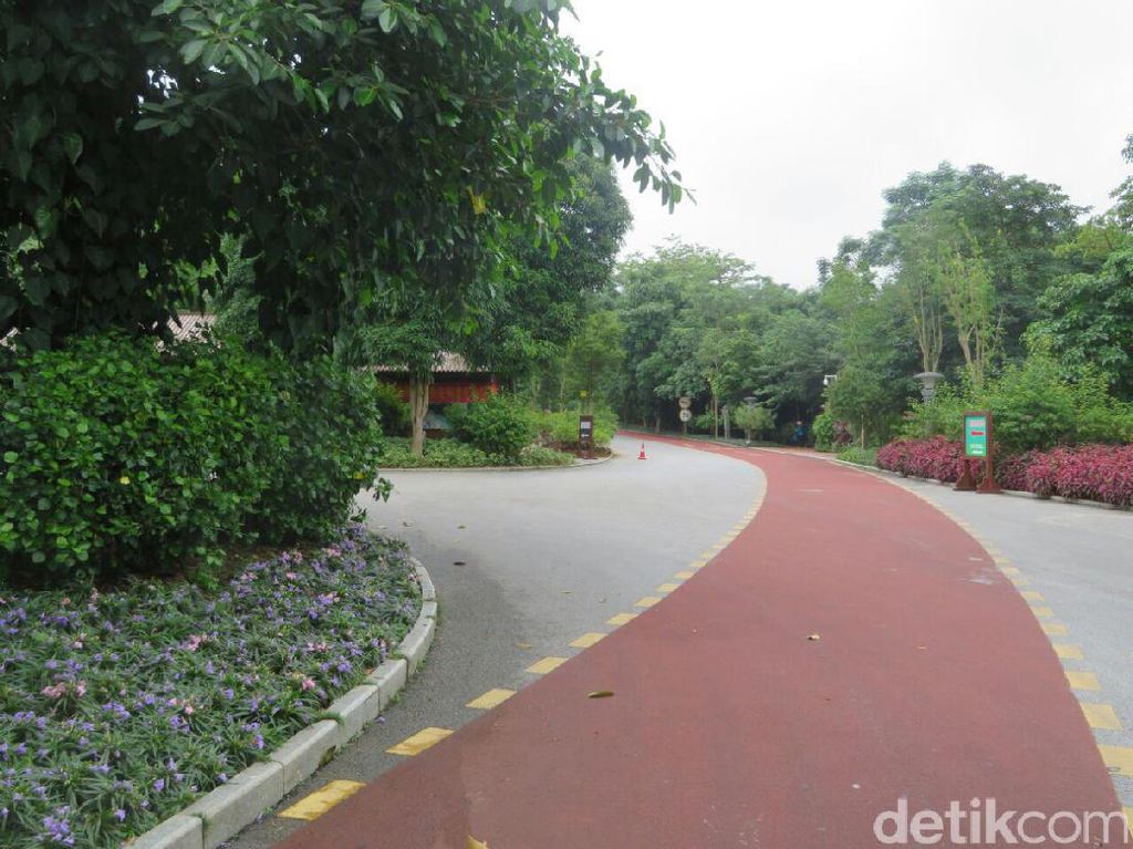 Taman Qingxiu, Bukit Indah yang Ada di Tengah Kota Nanning Taman Qingxiu, Bukit Indah yang Ada di Tengah Kota Nanning