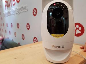 Acer Luncurkan Pengawas untuk Hewan Peliharaan