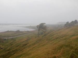 Warga Florida Dikejutkan Fenomena Pantai Mengering Tersedot Badai Irma Warga Florida Dikejutkan Fenomena Pantai Mengering Tersedot Badai Irma