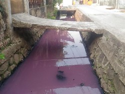 Got di Kebon Jeruk Berubah Ungu Tiap Sore Hari, Dicemari Siapa?