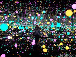 Yuk Lihat Karya Seni yang Unik di Museum Macan!