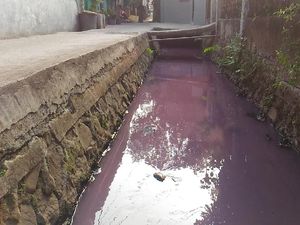 Got di Kebon Jeruk Jadi Ungu Tiap Sore, Ketua RT Cari Biang Kerok Got di Kebon Jeruk Jadi Ungu Tiap Sore, Ketua RT Cari Biang Kerok
