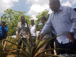 Mendes Minta Seluruh Kades Transparan Kelola Dana Desa