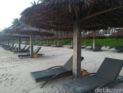 Pulau Bintan: Surga Bagi Hewan dan Manusia