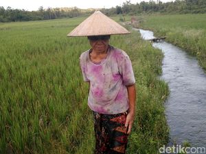 Kementan Cari Inovasi Baru Pertanian, Berhadiah Total Rp 3 Miliar