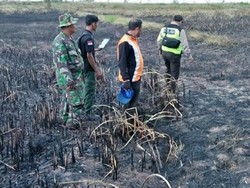 Jurus KLHK Atasi Kebakaran Hutan di Dua Provinsi Potensi Terbakar