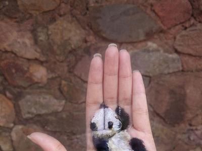 Keren! Gambar 3D Seakan Hidup di Telapak Tangan