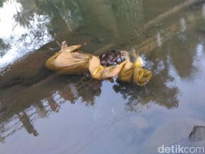 Ada Sandal Hotel pada Sepasang Mayat Terbungkus Bedcover