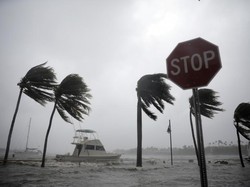 Badai Irma Tewaskan 3 Orang di Florida, Trump: Ini Monster Besar