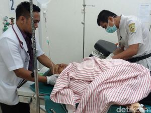 Seorang Nenek Diseruduk Babi Hutan