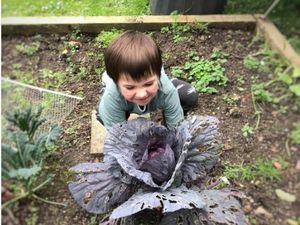 Foto: Keseruan Berkebun Bareng si Kecil