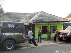 Guru SMA Hilang di Gunung Gede Sukabumi