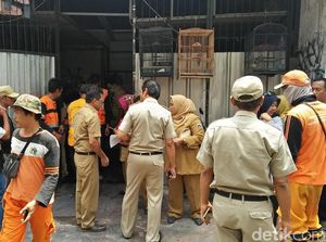 Got di Kebon Jeruk Berubah Warna, Petugas Cek Lokasi Pewarnaan Gabus Got di Kebon Jeruk Berubah Warna, Petugas Cek Lokasi Pewarnaan Gabus