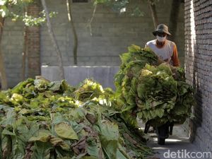 Produsen dan Pabrik Rokok Resah, Ini Penyebabnya Produsen dan Pabrik Rokok Resah, Ini Penyebabnya
