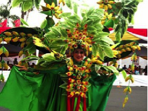 Ratusan Kostum Unik Dihadirkan di Malang Flower Carnival 2017