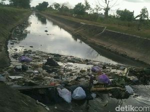 Selokan Mataram di Sleman Penuh Sampah, Pengelola: Tobat!