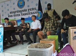 BNN Tangerang Gagalkan Penyeludupan 3,2 Kg Ganja dari Medan