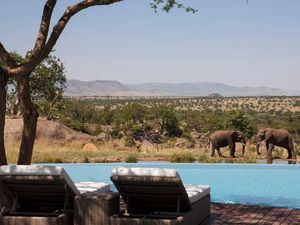 Foto: Kolam Renang Ini Depannya Gajah