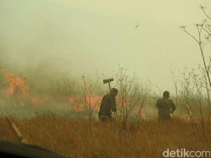 Kebakaran Padang Ilalang di Kaldera Bromo Meluas 76 Hektar