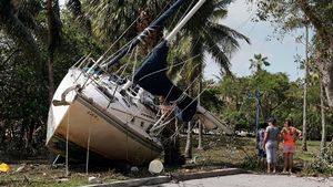 Kapal-kapal ini Terbawa Badai Irma, Ada yang Nyangkut di Kebun