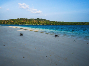Fokus Pasarkan Banten 7 Wonders, Kemenpar Gelar Famtrip