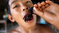 Foto: Tarantula Goreng, Bagaimana Rasanya?