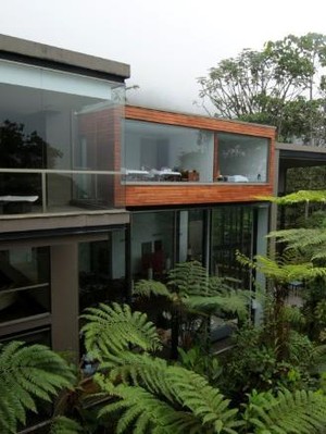 Resep Sayur: Tumis Bunga Pepaya