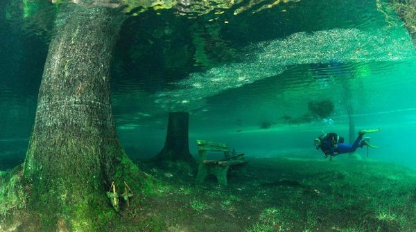 Foto: Taman Ini Bisa Menghilang Setahun Sekali