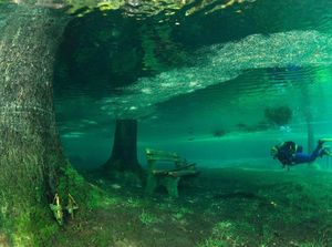 Foto: Taman Ini Bisa Menghilang Setahun Sekali