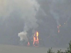 Kebakaran di Padang Savana Bromo Membakar Rumput di Tebing