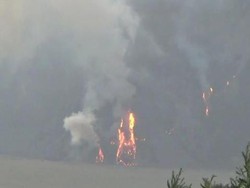 Kebakaran di Padang Savana Bromo Membakar Rumput di Tebing