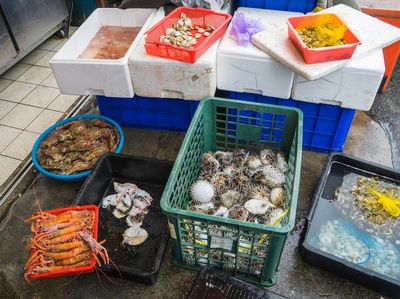 Ini 10 Makanan Paling Ekstrim di Dunia, Dari Paling Panjang hingga Paling Beracun