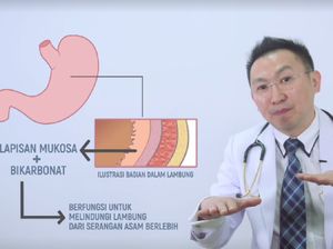 Seberapa Kuatnya Asam pada Lambung Manusia? Seberapa Kuatnya Asam pada Lambung Manusia?