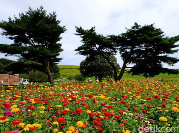 Foto: Taman Cantik nan Asri Favorit Turis di Jepang