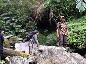 Cerita Mistis Guru SMA Saat Tersesat di Gunung Gede