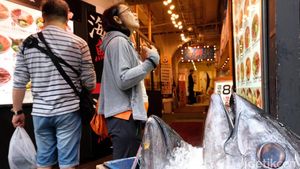 Lelang Ikan hingga Jajan Sushi, Begini Suasana Seru di Pasar Ikan Tsukiji