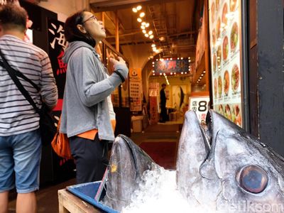 Lelang Ikan hingga Jajan Sushi, Begini Suasana Seru di Pasar Ikan Tsukiji