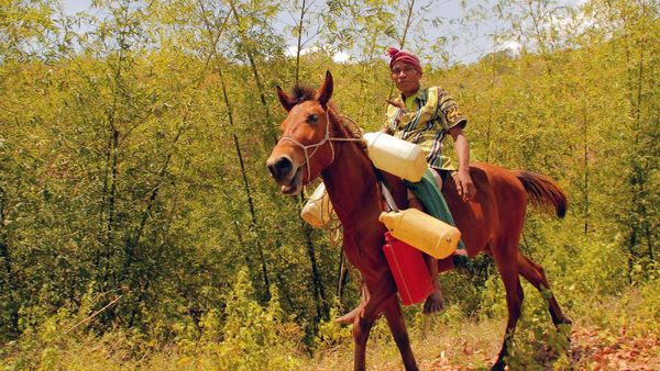 Potret Sulitnya Cari Air Akibat Kekeringan: Dari Bekasi Hingga NTT
