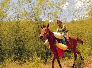 Potret Sulitnya Cari Air Akibat Kekeringan: Dari Bekasi Hingga NTT